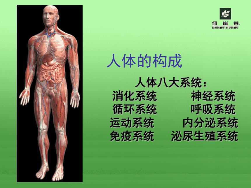 人体手机版游戏茶苑手机版下载-第1张图片-太平洋在线下载