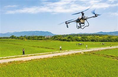 海外风险预警苹果版:保障粮食安全 端牢中国饭碗（锐财经）