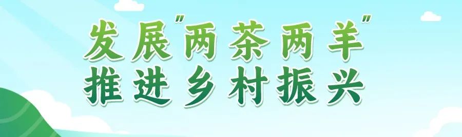 搜华容手机日报新闻湖南华容新闻最新消息