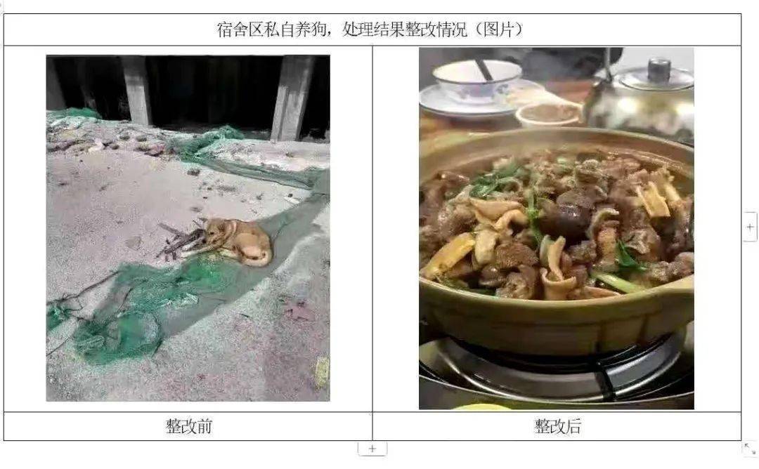 手机掉锅里新闻手机掉火锅里但是一切正常-第2张图片-太平洋在线下载