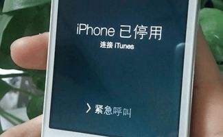 新加坡版苹果手机解锁方法进入iphone官网id解锁-第2张图片-太平洋在线下载