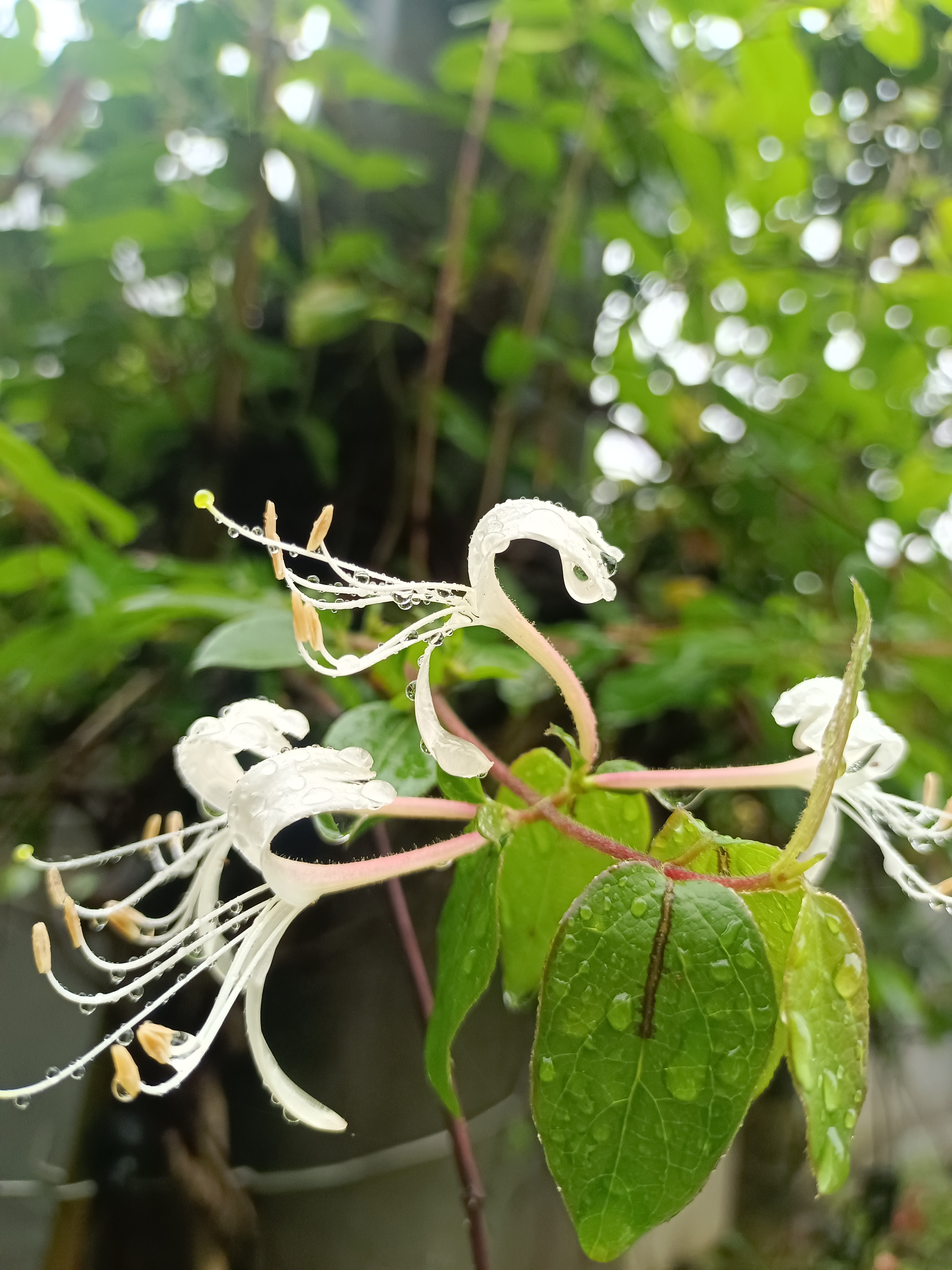 广东听说手机客户端广东天翼校园客户端手机版下载-第2张图片-太平洋在线下载